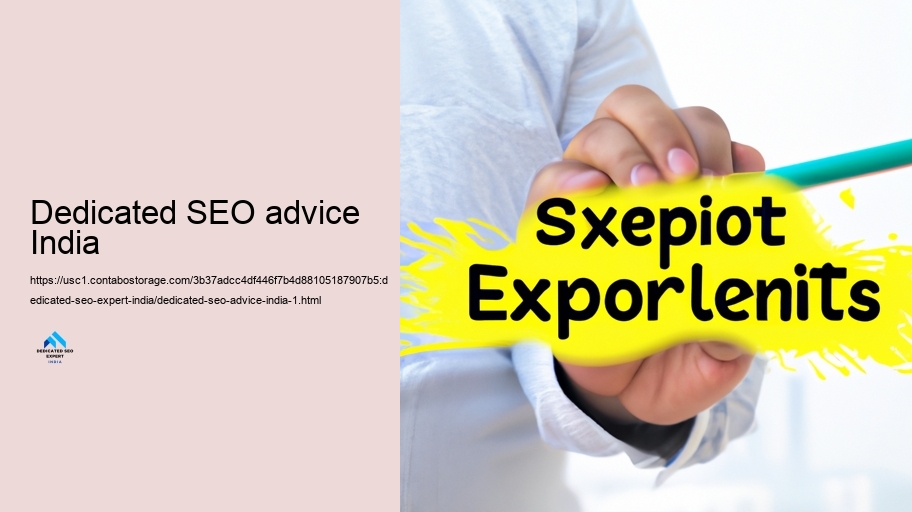 Obstacles and Solutions: Insights from Devoted SEO Professionals in India