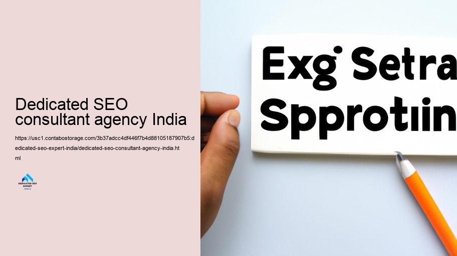 Challenges and Solutions: Insights from Devoted SEARCH ENGINE OPTIMIZATION Professionals in India