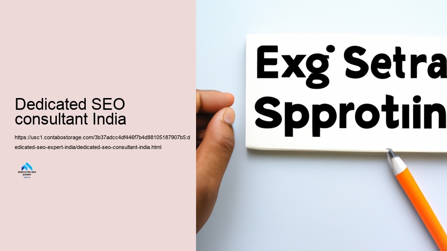 Function and Commitments of a Devoted SEARCH ENGINE OPTIMIZATION Expert in India