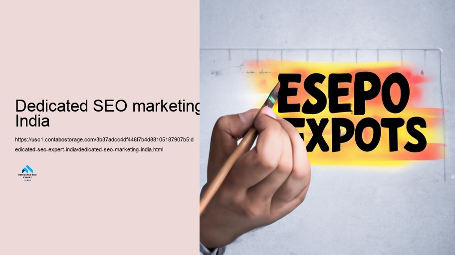 Function and Responsibilities of a Devoted SEO Professional in India