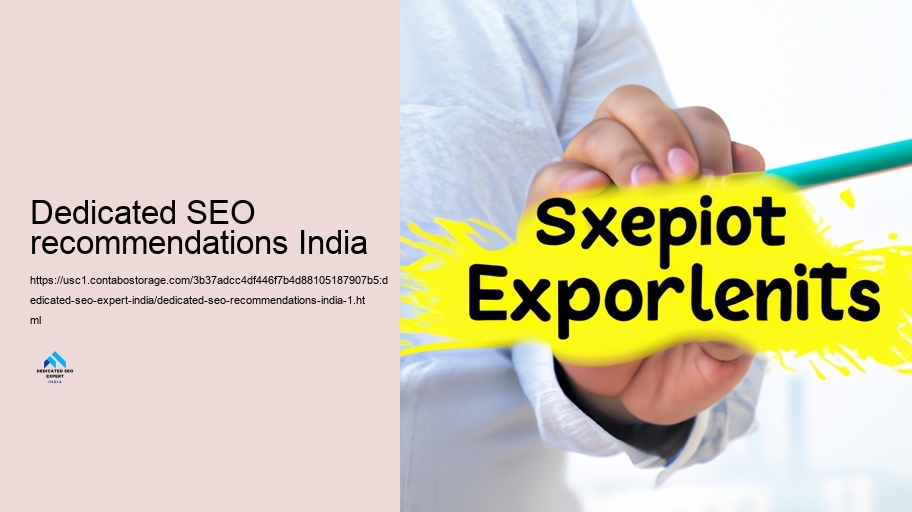 Assessing the Impact of a Devoted SEARCH ENGINE OPTIMIZATION Expert on Indian Organizations