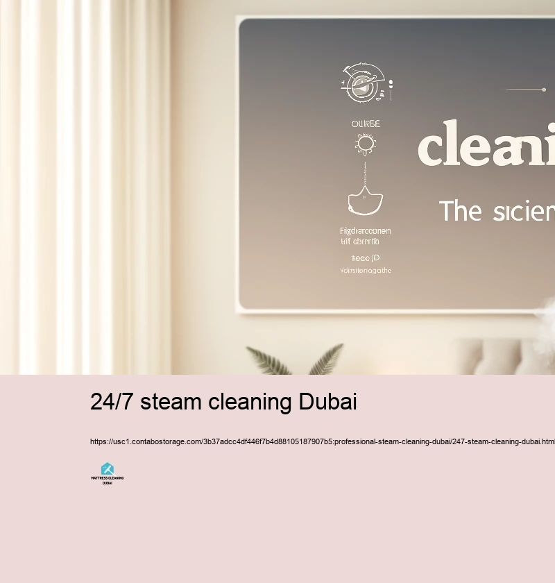 Normal Misconceptions Pertaining to Heavy steam Cleansing