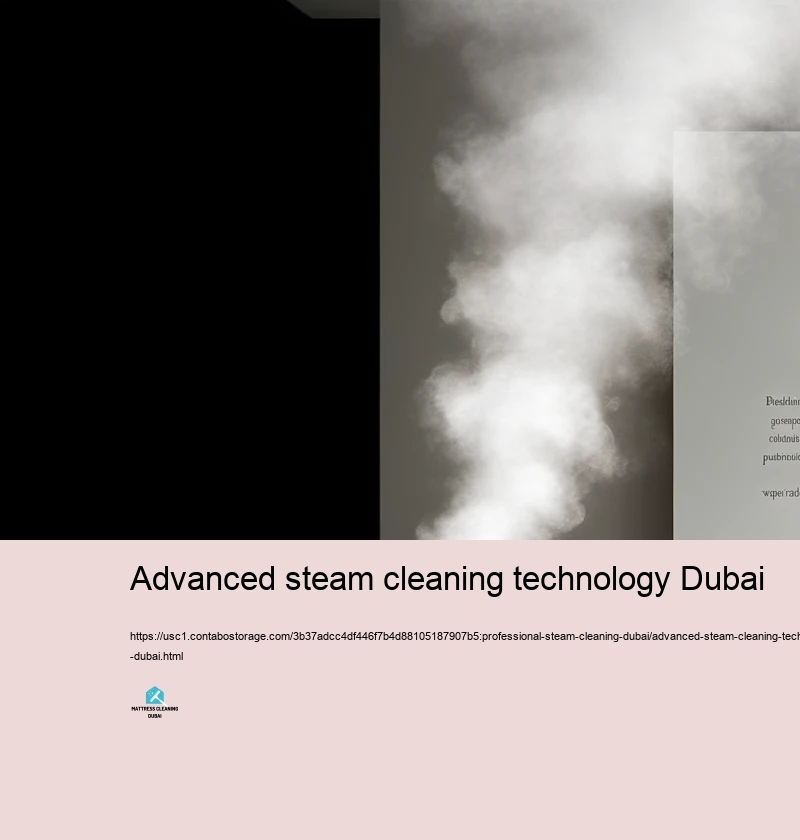 Benefits of Discovering Expert Heavy Heavy steam Cleaning Solutions