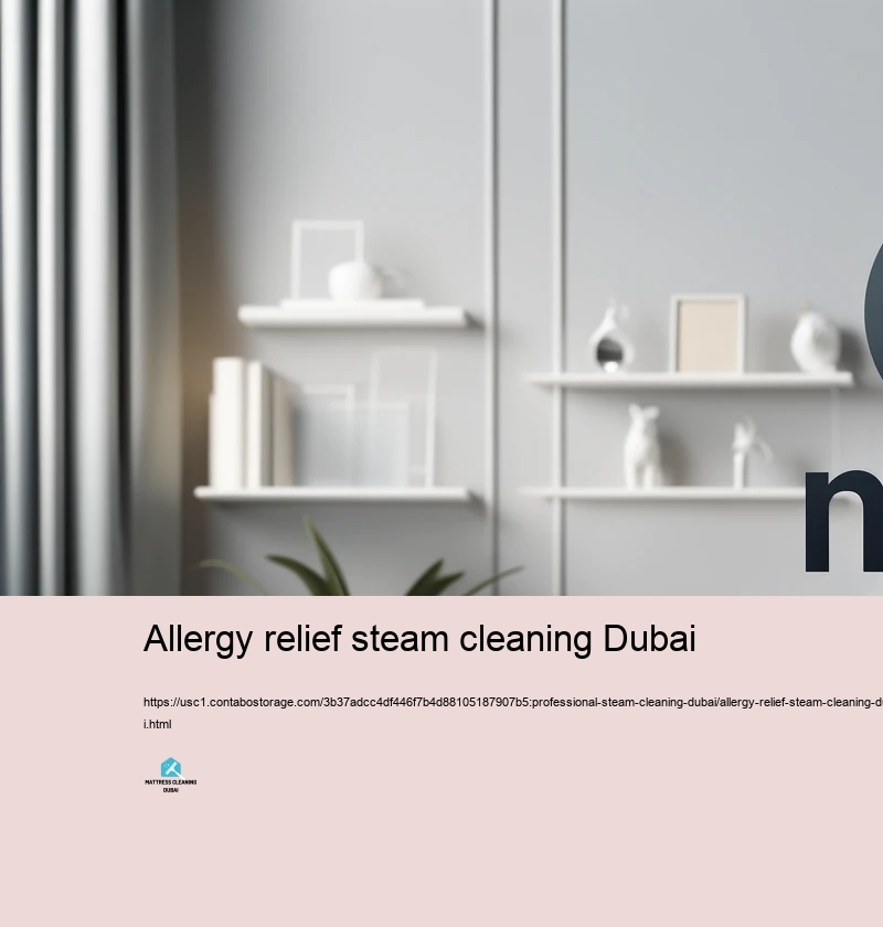 Picking the Right Vapor Cleaning up Company in Dubai