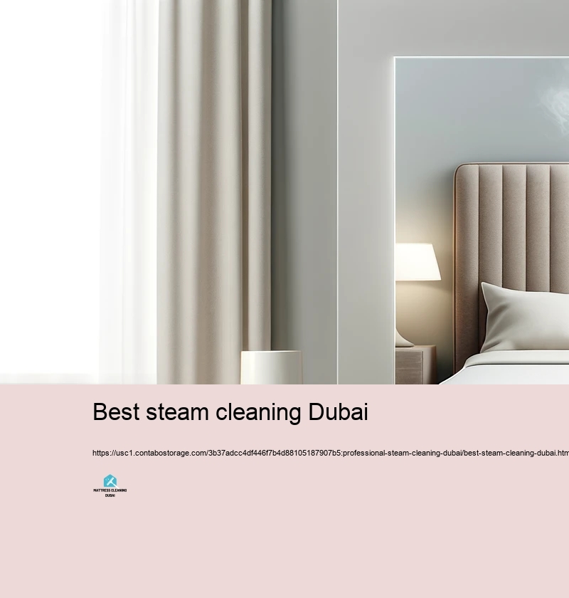 Benefits of Choosing Specialist Heavy Steam Cleansing Solutions