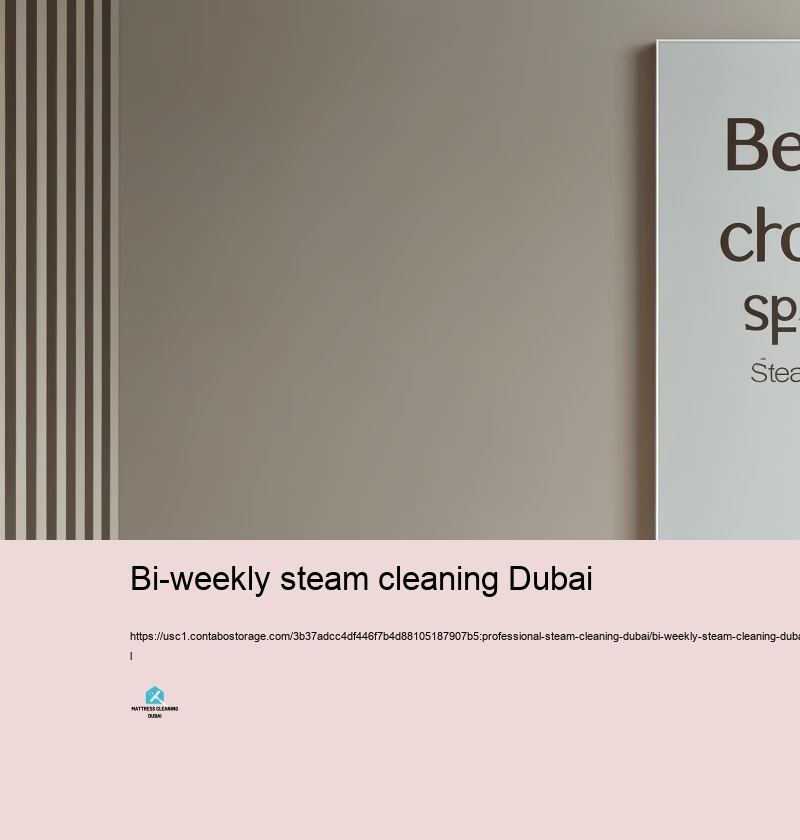 Advantages of Selecting Specialist Heavy steam Cleaning Services