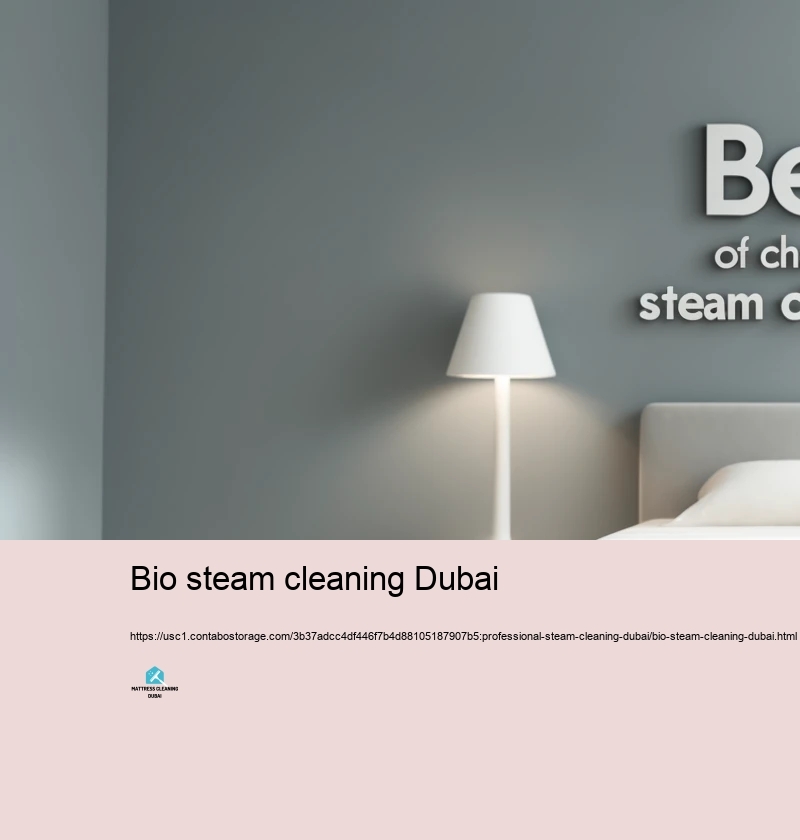 Benefits of Selecting Expert Heavy Heavy steam Cleansing Services