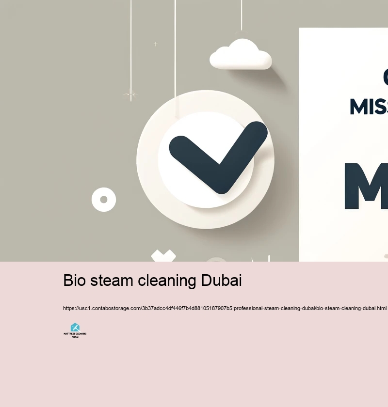 Selecting the Right Hefty Hefty heavy steam Cleaning Service in Dubai