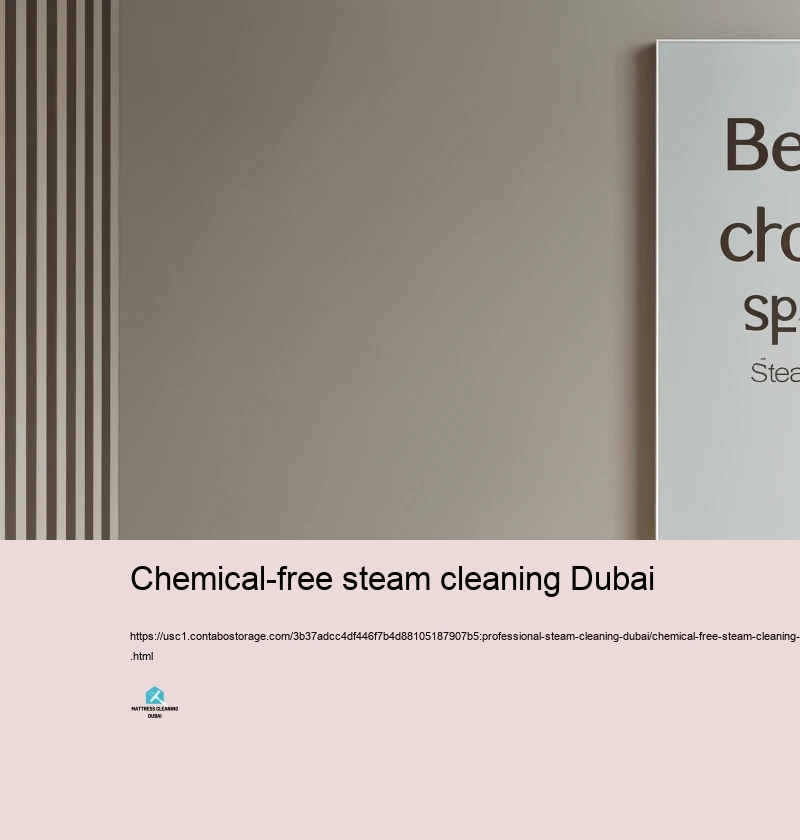 Advantages of Selecting Professional Heavy steam Cleaning Solutions