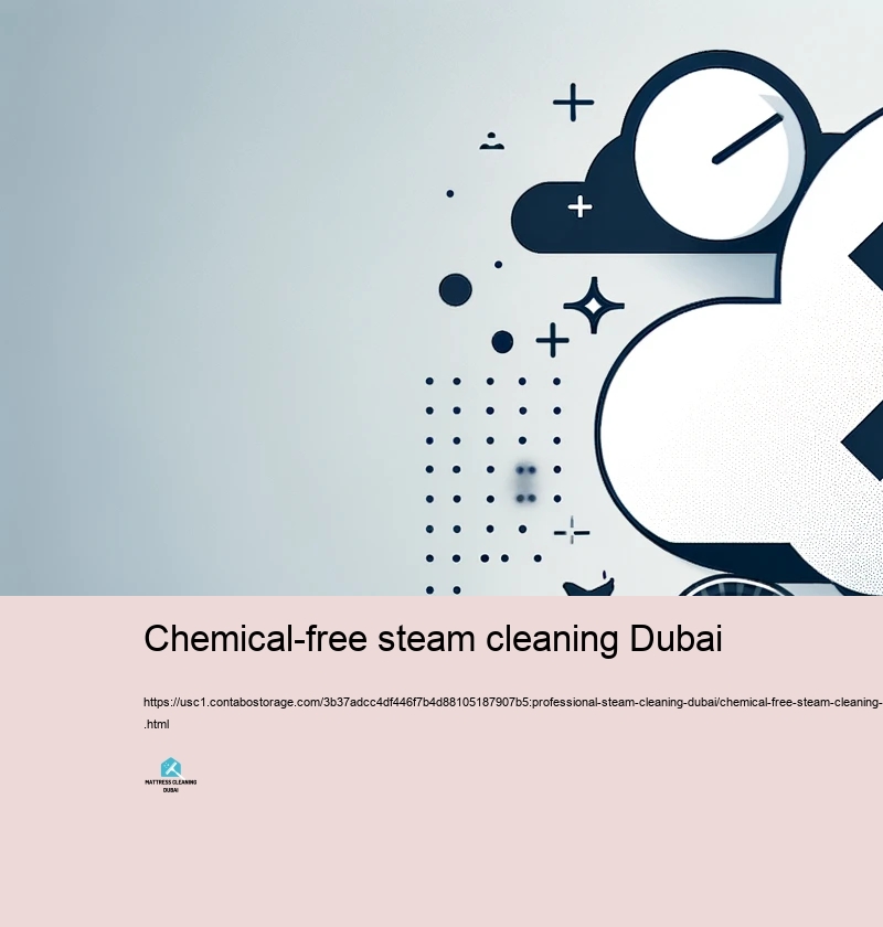 Choosing the Right Vapor Cleaning Service in Dubai