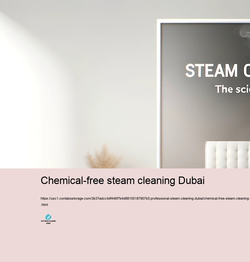 Common Mistaken beliefs About Steam Cleansing