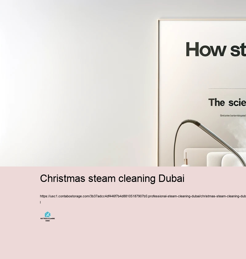 Regular False impressions Worrying Hefty heavy steam Cleaning