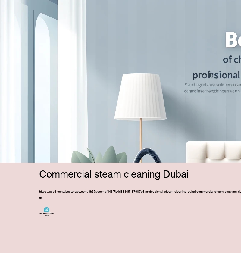 Benefits of Selecting Professional Vapor Cleaning up Solutions