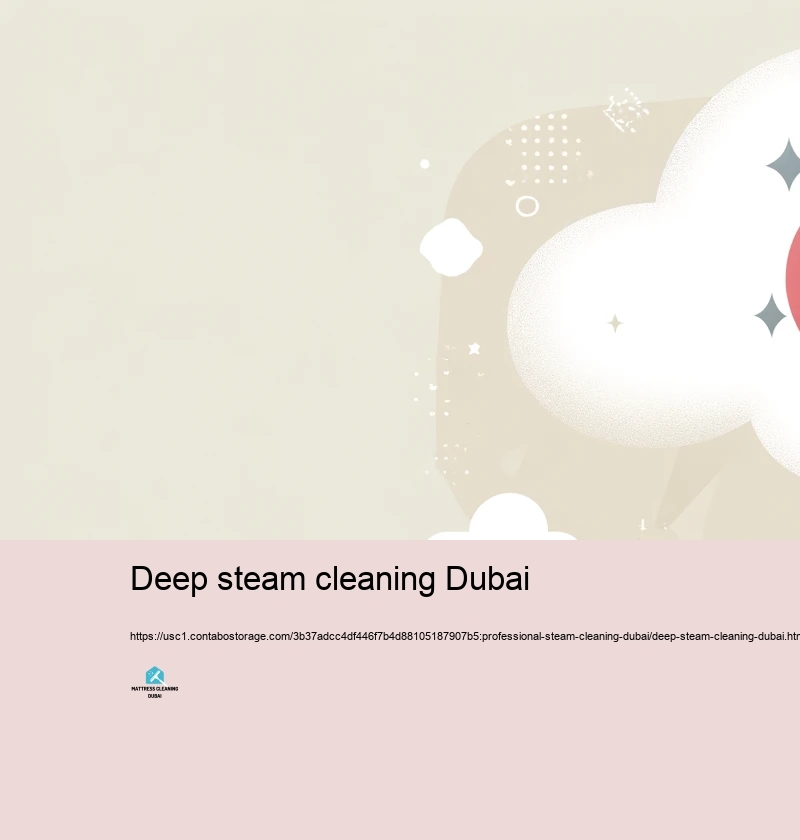 Selecting the Right Vapor Cleaning Service in Dubai