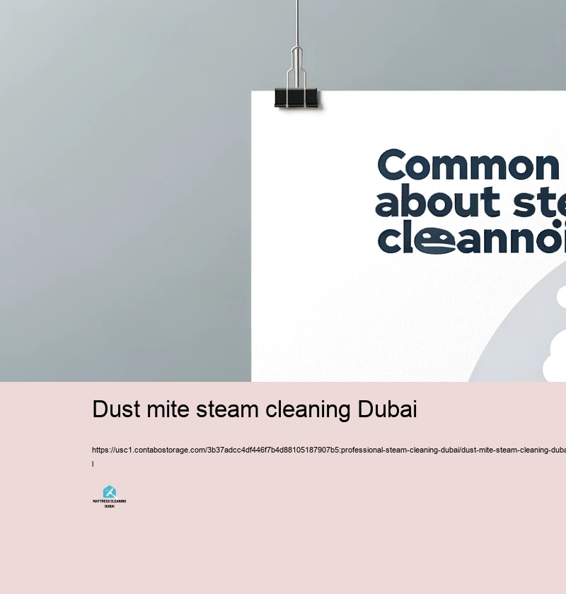 Selecting the Right Vapor Cleaning firm in Dubai