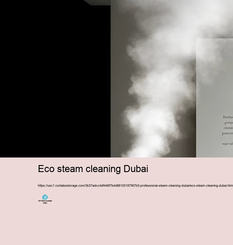 Advantages of Finding Specialist Heavy Heavy steam Cleansing Services