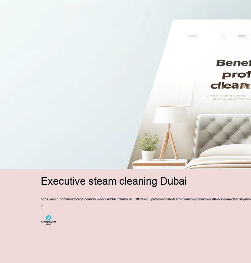 Benefits of Selecting Expert Vapor Cleaning Service providers