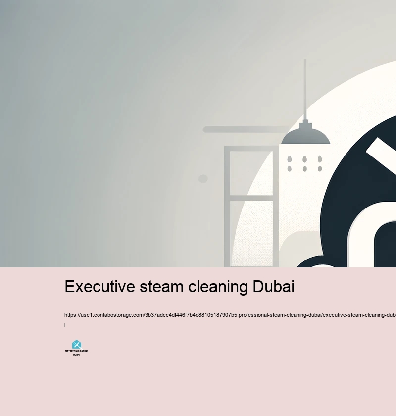 Selecting the Right Hefty Heavy steam Cleaning Service in Dubai