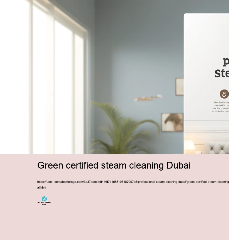 Advantages of Picking Expert Steam Cleansing Solutions