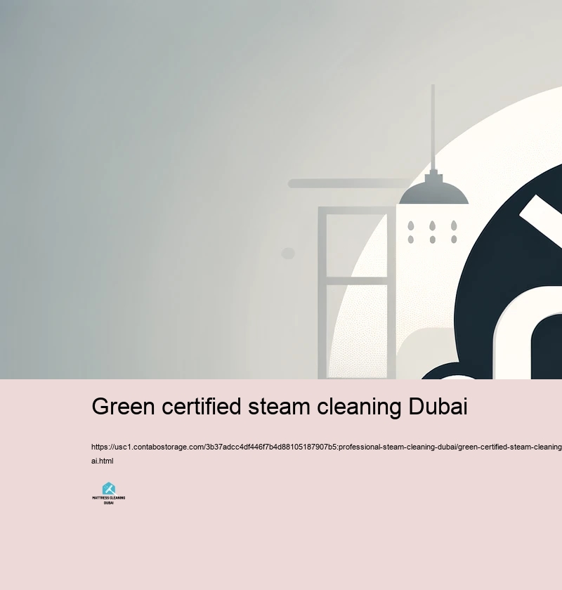 Choosing the Right Significant Hefty vapor Cleaning Service in Dubai