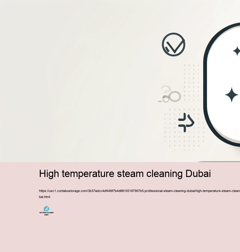 Picking the Right Hefty Steam Cleaning Service in Dubai