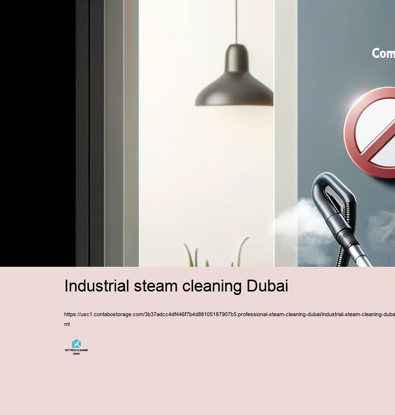 Picking the Right Heavy steam Cleaning up firm in Dubai