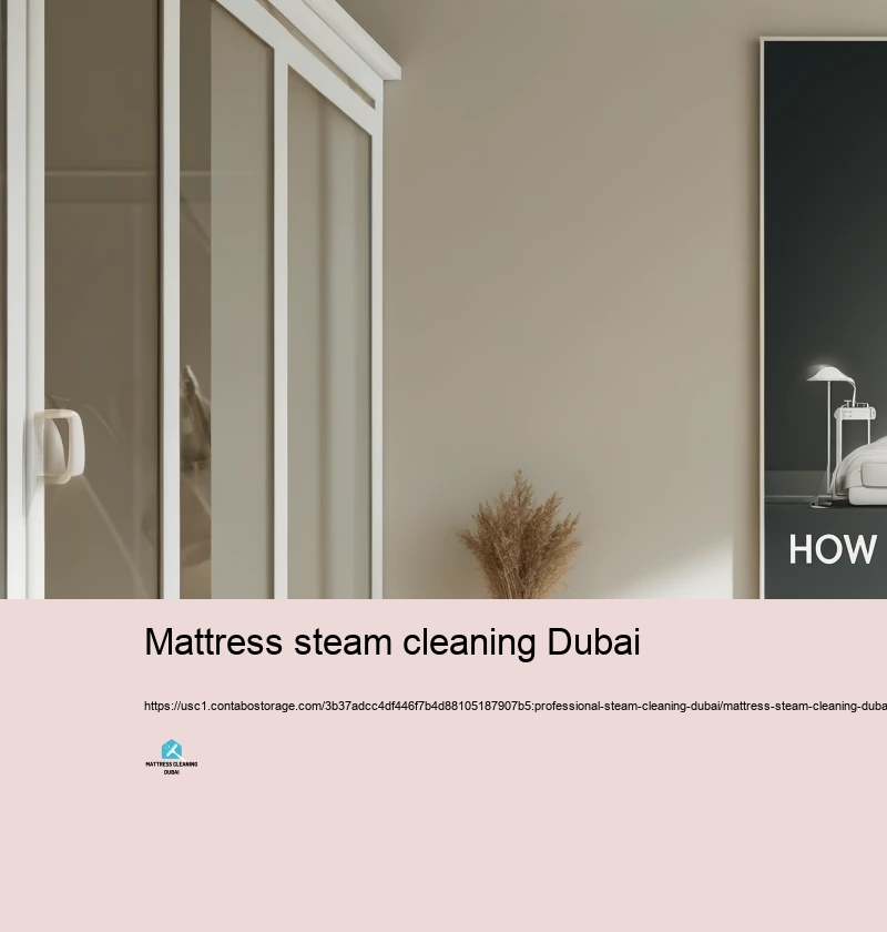 Regular False impressions About Steam Cleaning