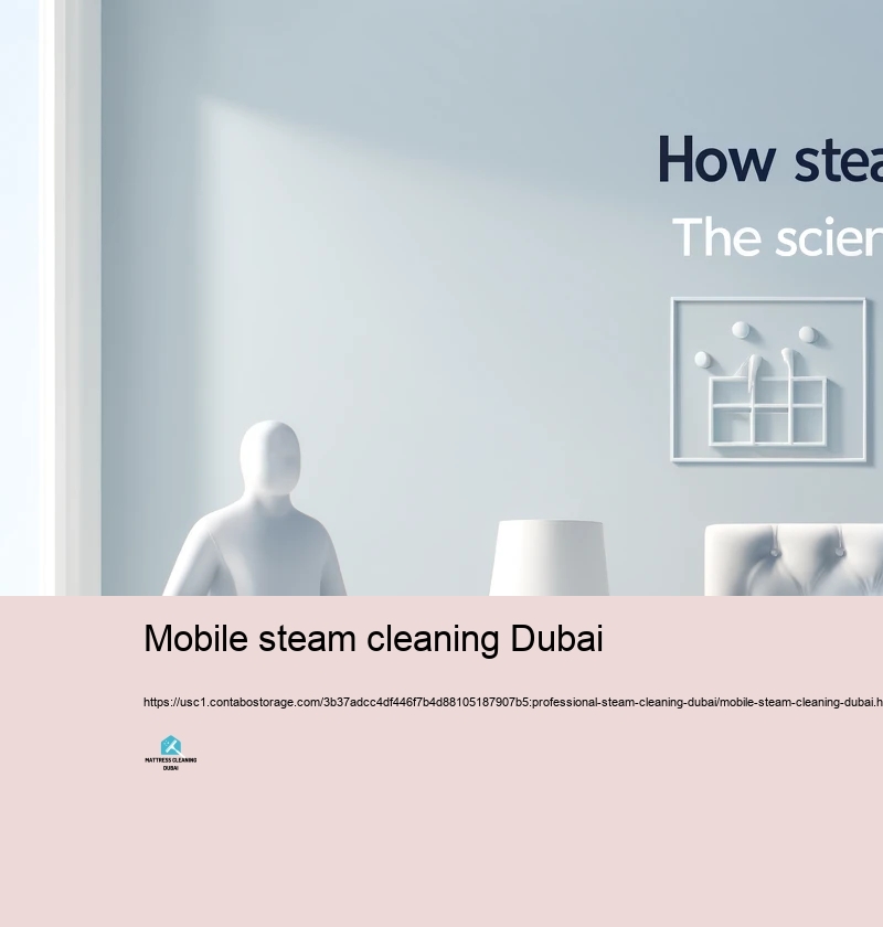 Regular Misconceptions Relating to Heavy Steam Cleaning up