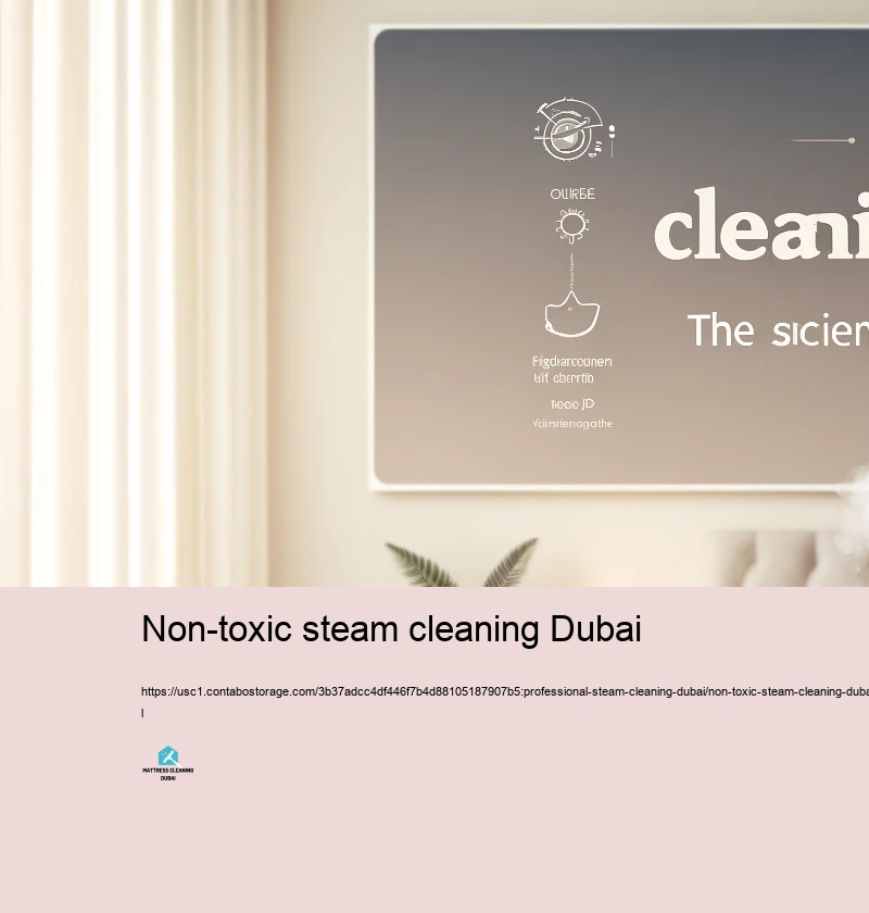 Typical Mistaken beliefs Relating to Heavy Heavy steam Cleaning up