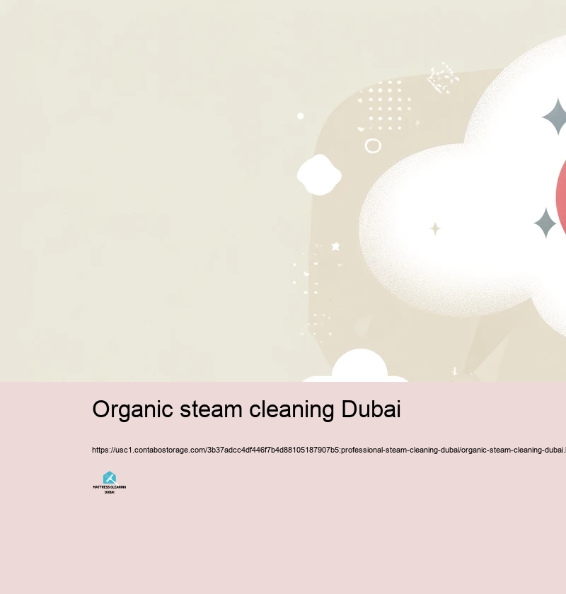 Selecting the Right Vapor Cleansing company in Dubai