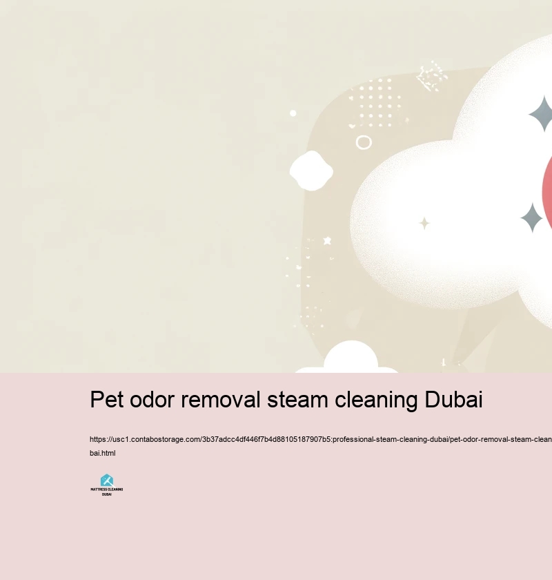 Picking the Right Vapor Cleaning company in Dubai