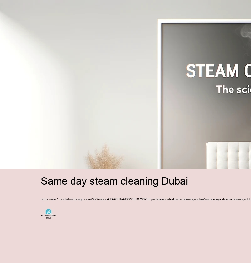 Typical Misconceptions About Heavy Heavy heavy steam Cleaning