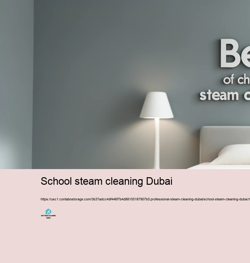 Advantages of Choosing Expert Steam Cleansing Solutions