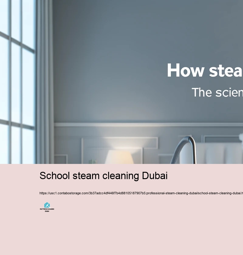 Common Mistaken beliefs Regarding Steam Cleansing