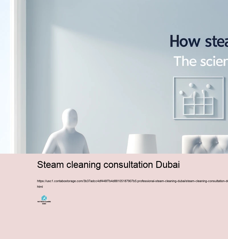 Typical Misconceptions Worrying Hefty steam Cleaning