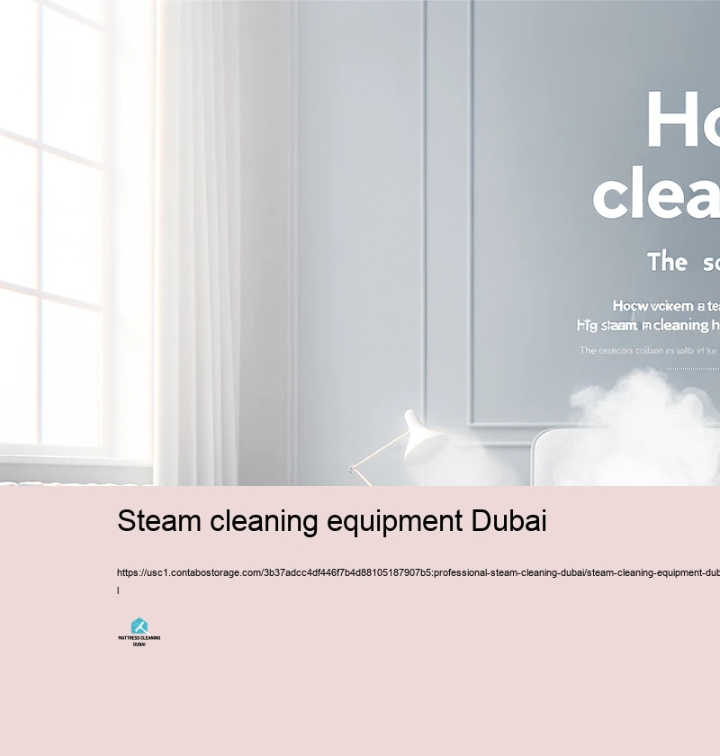 Usual Misconceptions Worrying Vapor Cleaning