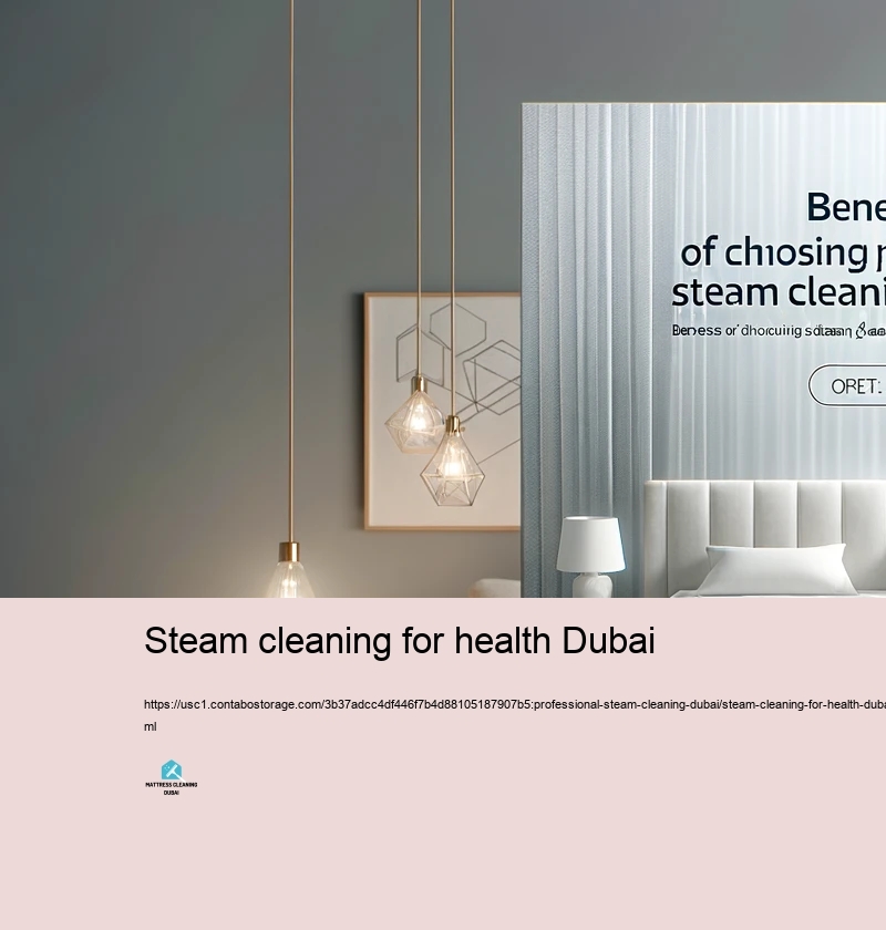 Benefits of Picking Specialist Heavy Steam Cleansing Carriers