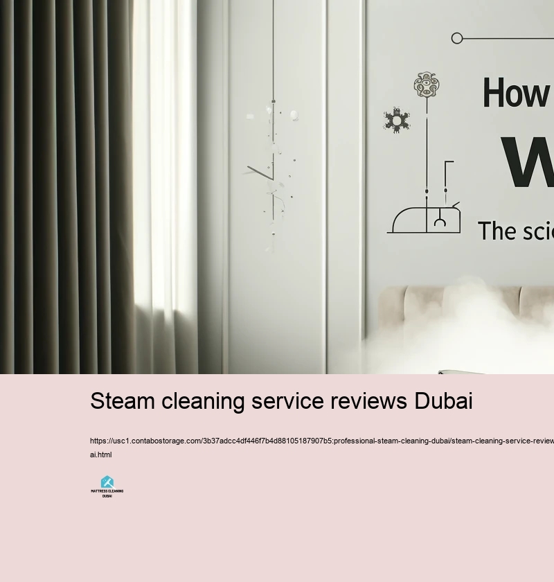 Regular Misunderstandings Concerning Hefty Heavy steam Cleaning up