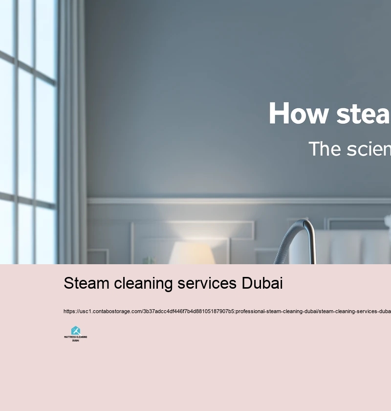 Typical Misconceptions Stressing Heavy Heavy steam Cleaning up