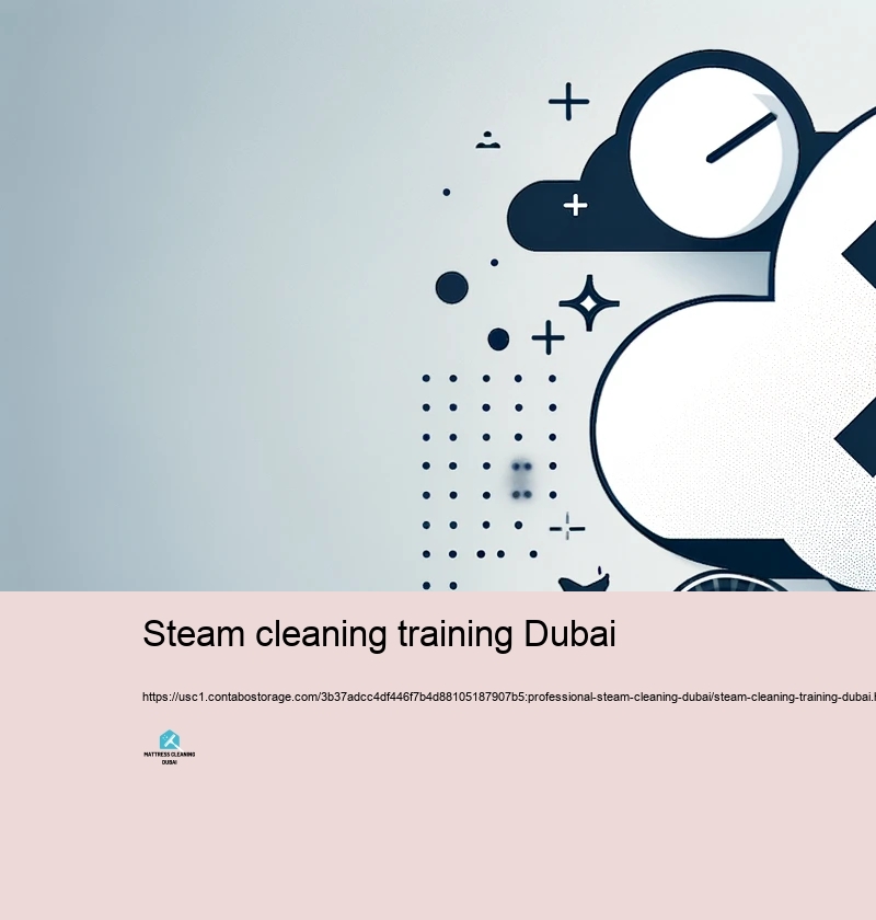 Choosing the Right Vapor Cleaning business in Dubai