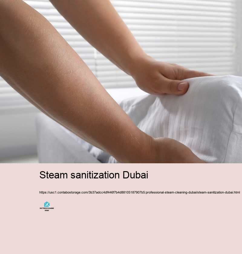 Steam sanitization Dubai