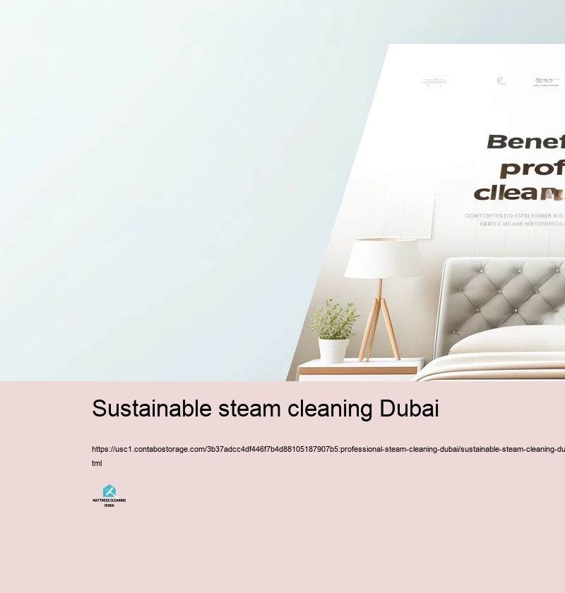 Advantages of Choosing Specialist Heavy steam Cleansing Solutions