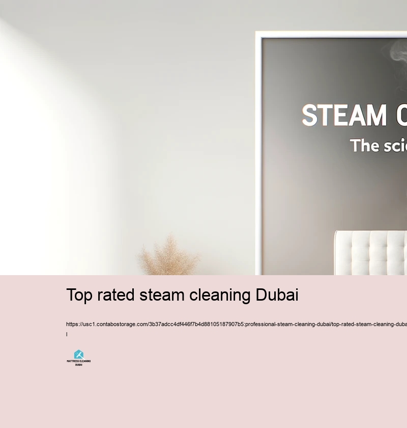 Regular Mistaken beliefs Worrying Steam Cleaning