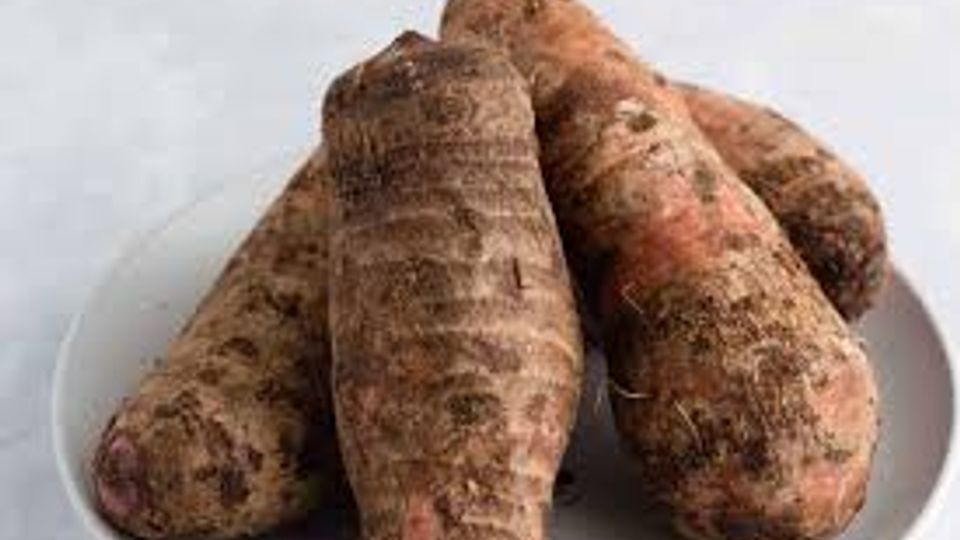 Cocoyam tuber