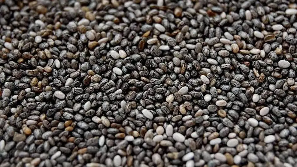 Chai Seeds
