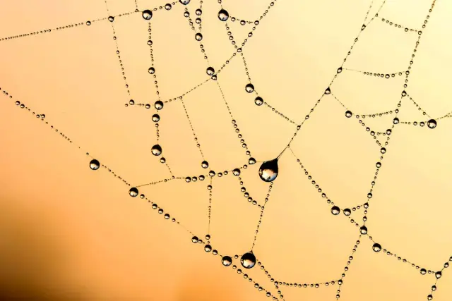 Why Serverless GraphQL Is Better with AWS AppSync