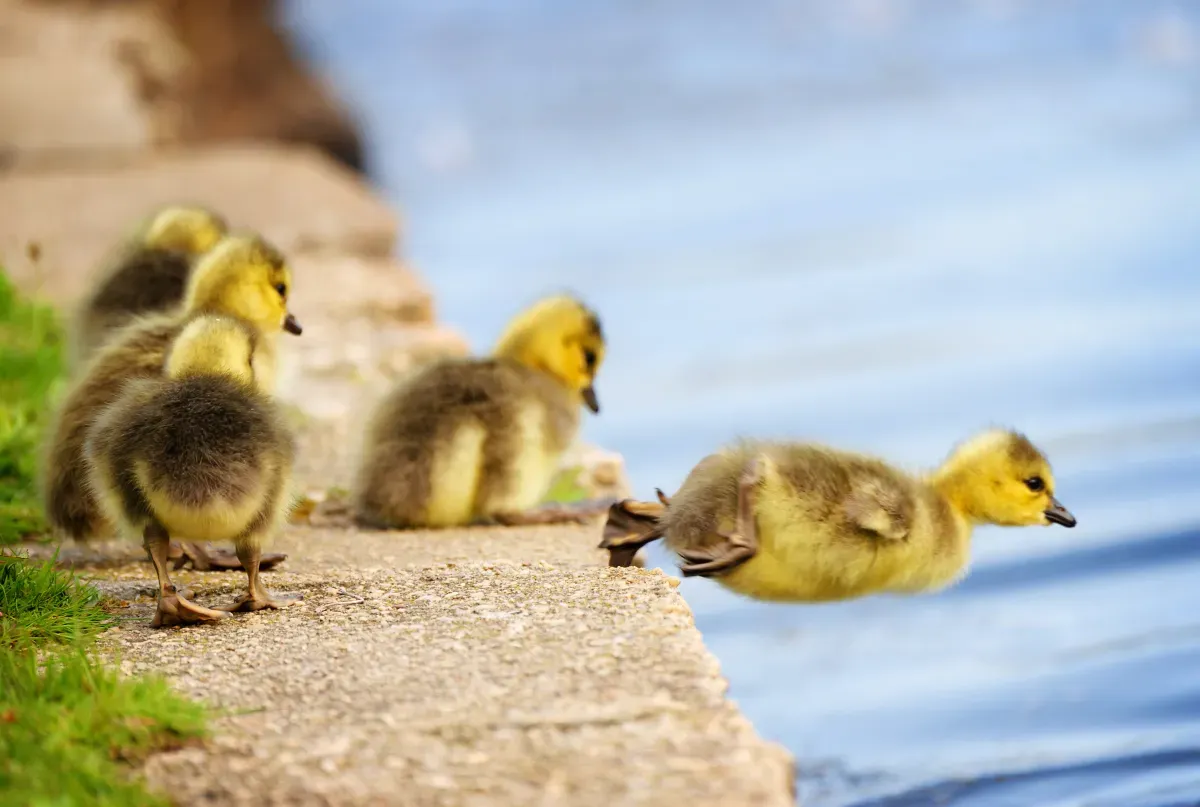 9 strategies that will help you overcome your fear of fundraising