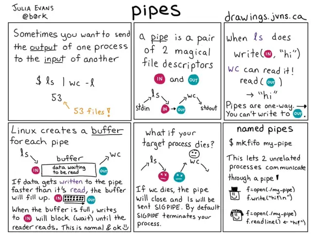 Julia Evans’ Bite-Size Zines Break It Down