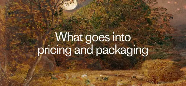 How we develop pricing and packaging at Fin