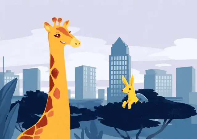 bunny.net expands into Nairobi, Kenya